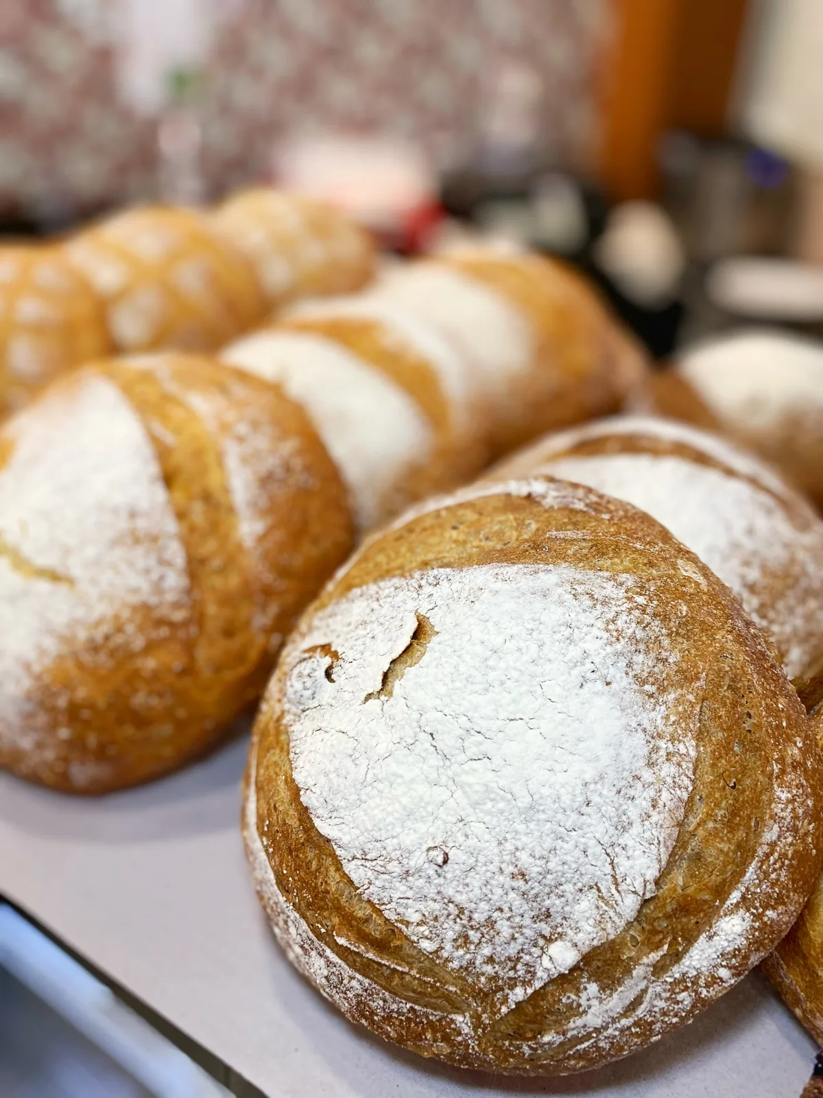 Pães rústicos polvilhados com farinha